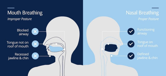 Mouth Breathing vs. Nasal Breathing: Why It Matters for Your Health