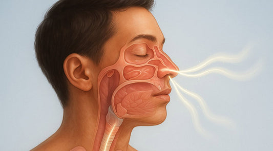Nasal Breathing Strips vs. Red Light Therapy: Which is Best?